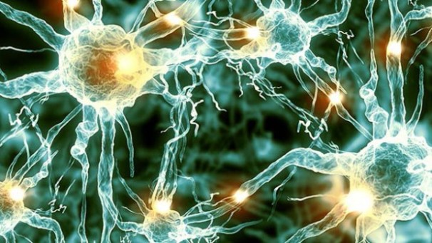 Ученые: Между бактериями найдены связи, как у нейронов в мозге