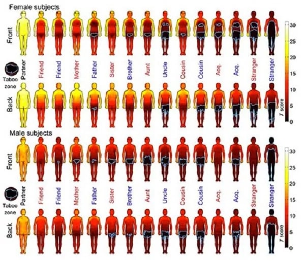 Учёными составлена карта доступности частей тела, к которым можно и нельзя прикасаться