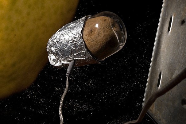 NASA желает растить картошку на Марсе