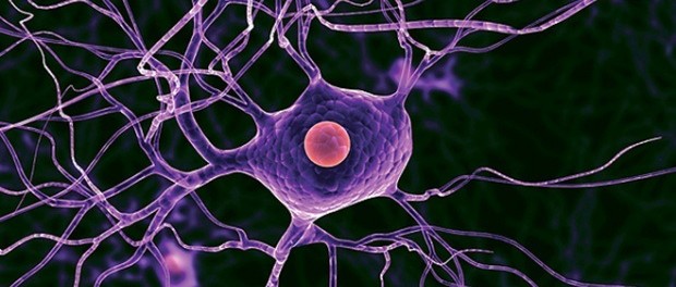 Профессионалы обнаружили новый метод восстановления поврежденных нервных клеток