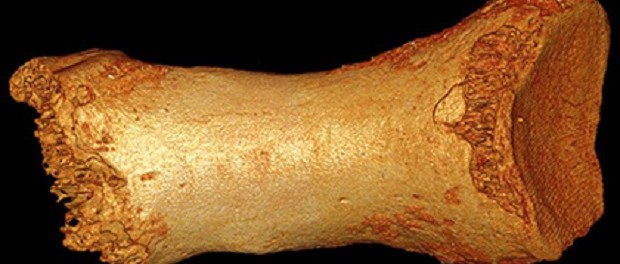 Некоторые неандертальцы скрещивались с людьми — Ученые