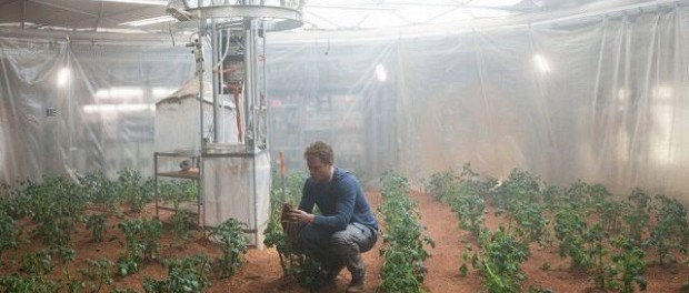 НАСА проведет эксперимент по выращиванию картофеля в марсианских условиях
