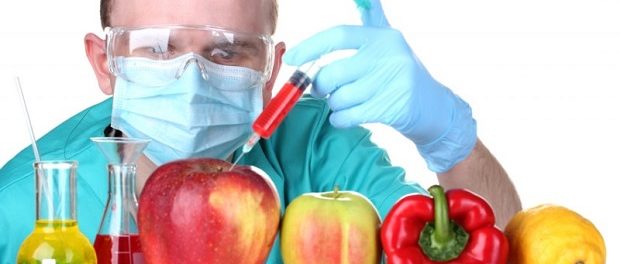 Академия наук США: генно-модифицированная пища безопасна