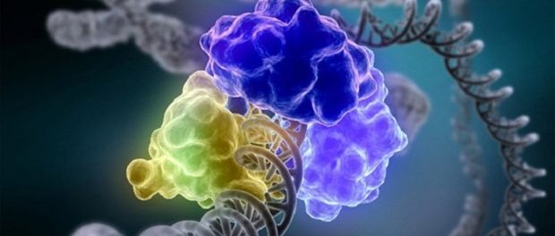 Ученые: ДНК способна восстанавливаться и копировать себя