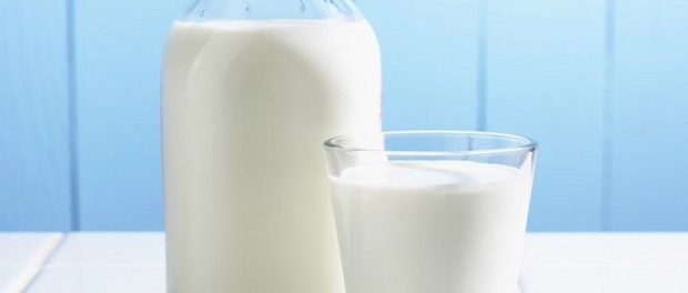 Биологи назвали «тараканье молочко» пищей будущего
