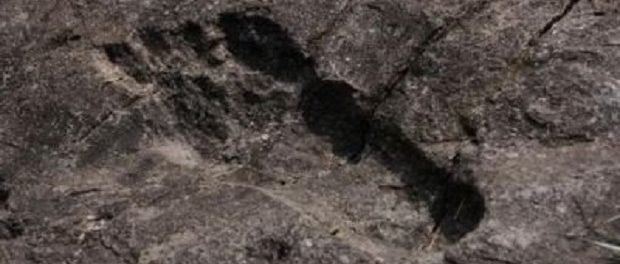 На юго-западе Китая найдены огромные окаменелые следы ног