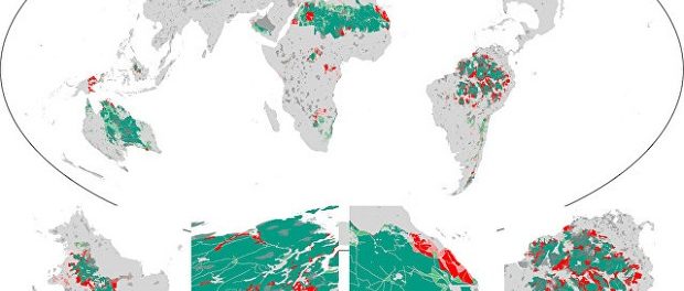 За прошлые четверть века Земля потеряла 10% дикой природы