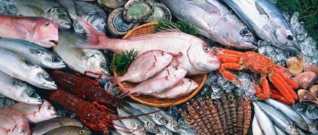 Ученые узнали, как рыба разрушает иммунную систему человека