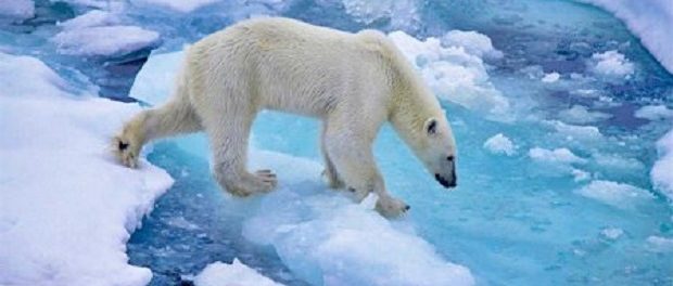 Ученые: скорость изменения климата в Арктике становится очень небезопасной
