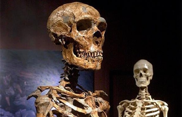Странные останки были найдены в древней могиле