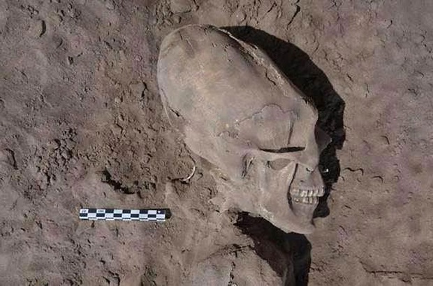 Странные останки били найдены в древней могиле
