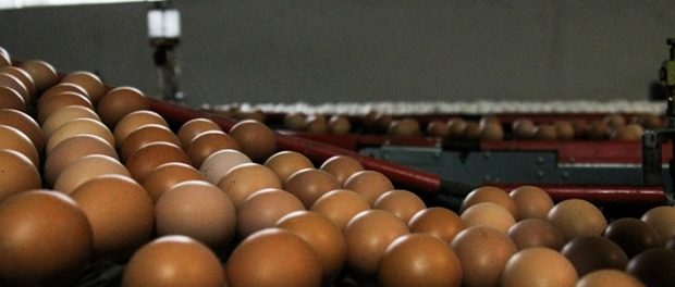 Пищевой продукт, контролирующий уровень сахара