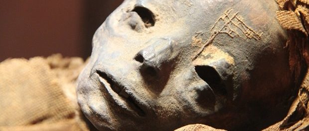 Антропологи узнали, как выглядел древнейший человек, по ДНК мумии