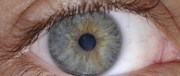 Таланты людей вполне возможно определить по цвету глаз — Ученые