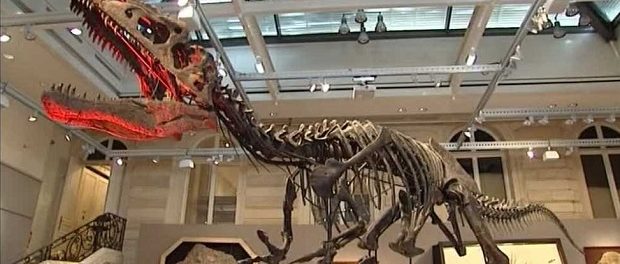 Скелет динозавра продали на аукционне за баснословные деньги