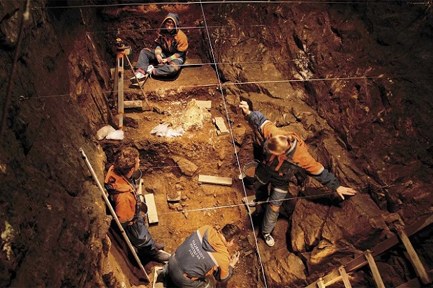 Учёные отыскали останки сибирской ослозебры в Денисовой пещере на Алтае