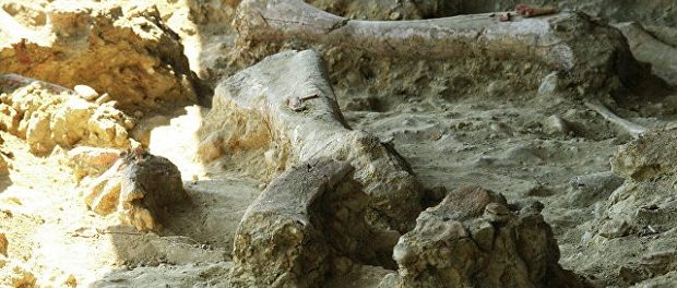 Китайские ученые отыскали окаменелые следы динозавров Юрского периода