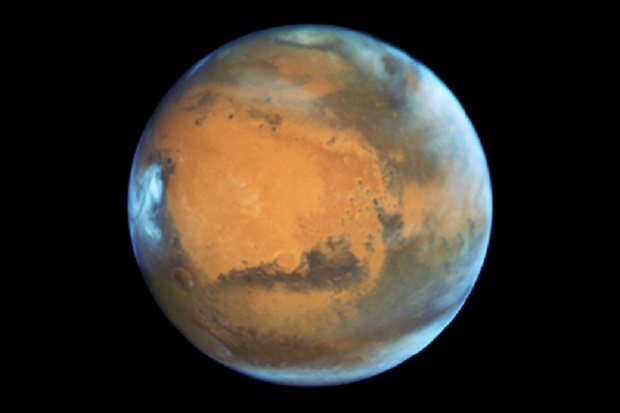 Земные микроорганизмы выжили в условиях Марса