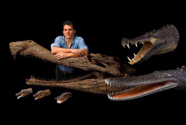 Крокодилоподобные рептилии являются предками человека- новая теория эволюции выдвинута учеными