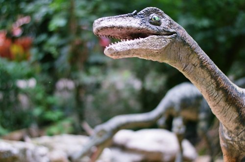 Палеонтологи предлагают переписать родословную динозавров