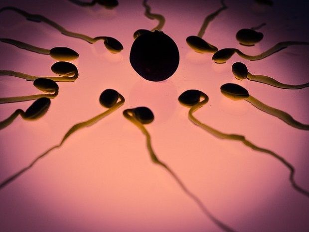 Учёные определили сезон, когда у мужчин улучшается качество спермы