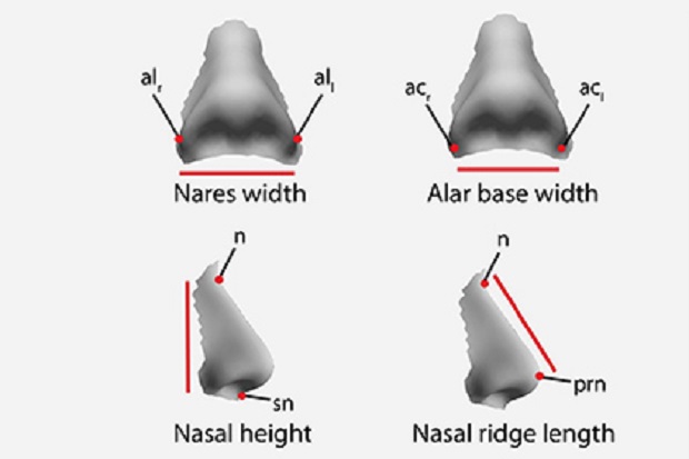 Ученые поведали, почему у людей из разных стран разная форма носа
