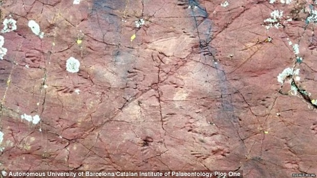 Палеонтологи отыскали в Пиренеях следы неведомой древней рептилии