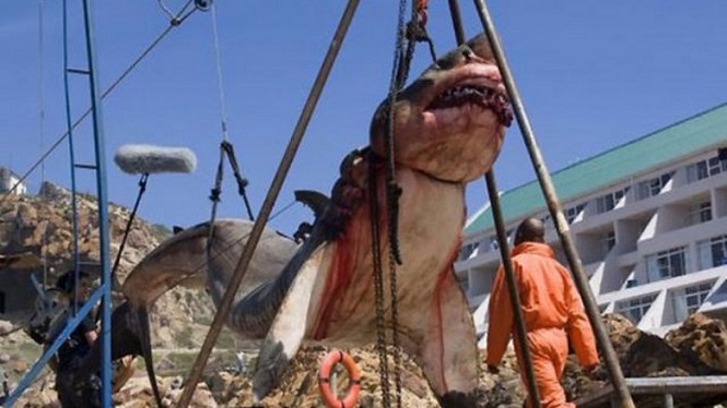 В Пакистане поймали доисторическую акулу в пятнадцать тонн
