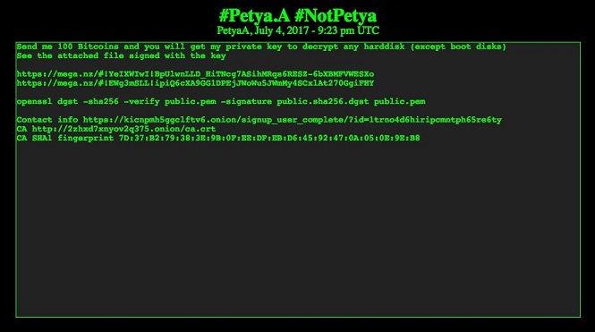 Авторы Petya.А показали первую активность после кибератаки