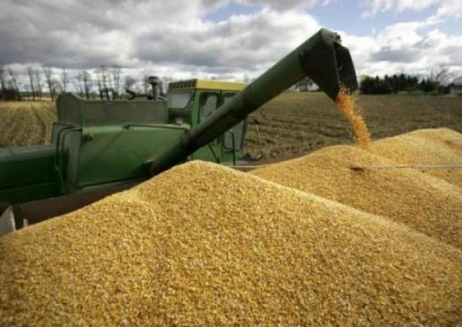 РФ экспортировала 1-ый млн. тонн зерна в новом сезоне