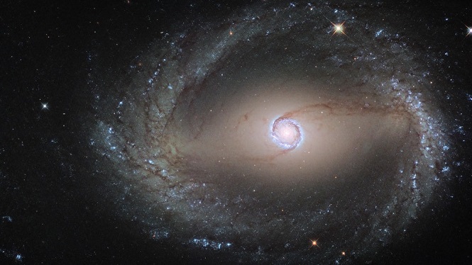 В NASA рассказали о галактике в 24 млн световых лет от Земли