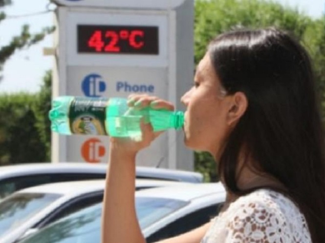 МЧС предупредило о сильной жаре в Ростовской области