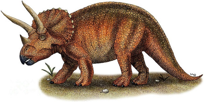 На стройплощадке найдены останки динозавра