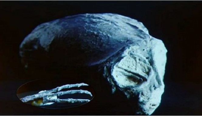 Обнаруженные в Перу мумии являются инопланетными рептилиями