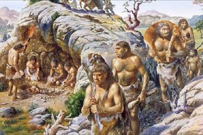 Мозг неандертальца рос медленнее, чем мозг современного человека