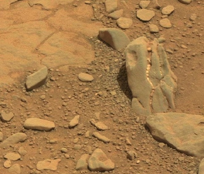 Ученые обнаружили останки животных на Марсе