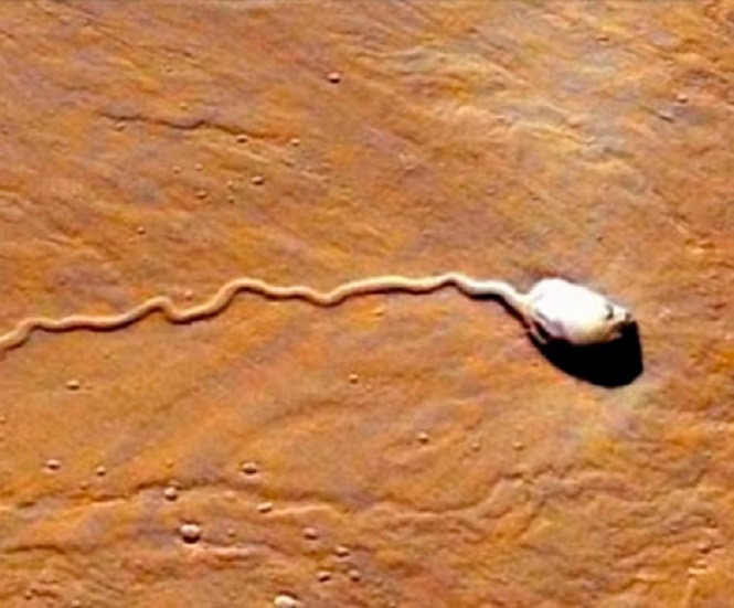 Британский уфолог нашла на Марсе шестикилометровый сперматозоид