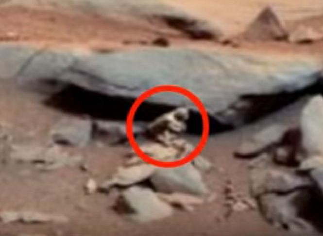 Уфологи отыскали на Марсе ужасного шестиметрового кота-мутанта