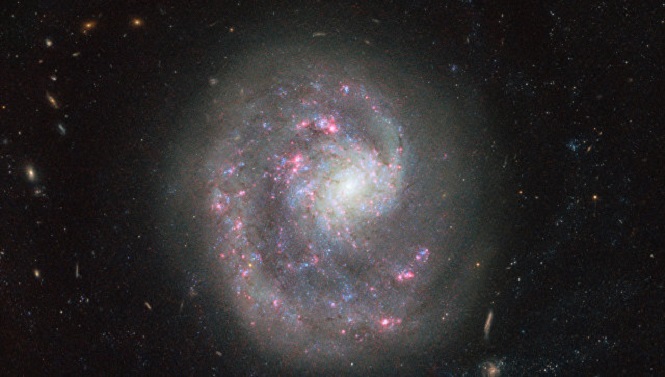 Ученые опубликовали фото с «Хаббла» с необыкновенной «однорукой» галактикой NGC 4625