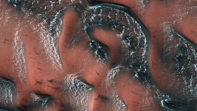 Уфолог Скотт Уоринг нашел на Марсе немалый кулак инопланетянина