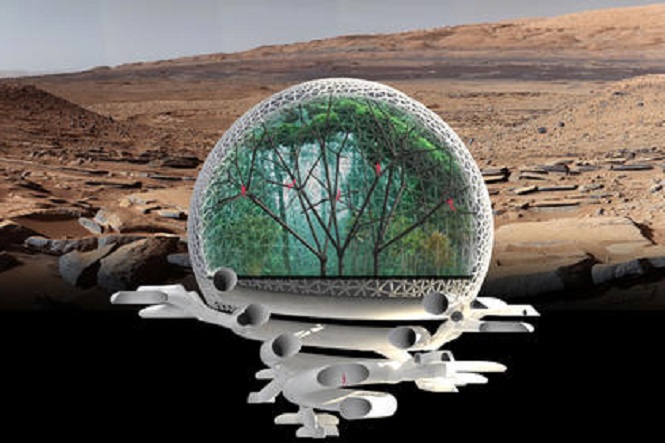 Город будущего на Марсе будет напоминать лес под куполом