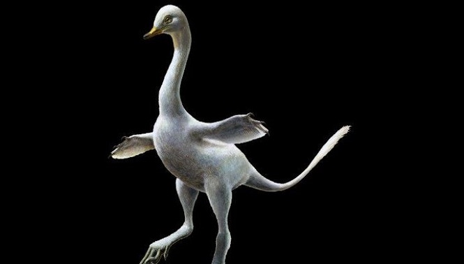 Палеонтологи отыскали в Монголии останки динозавра с «лебяжьей» шеей