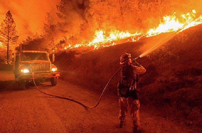 Два человека сгорели в природных пожарах в Калифорнии