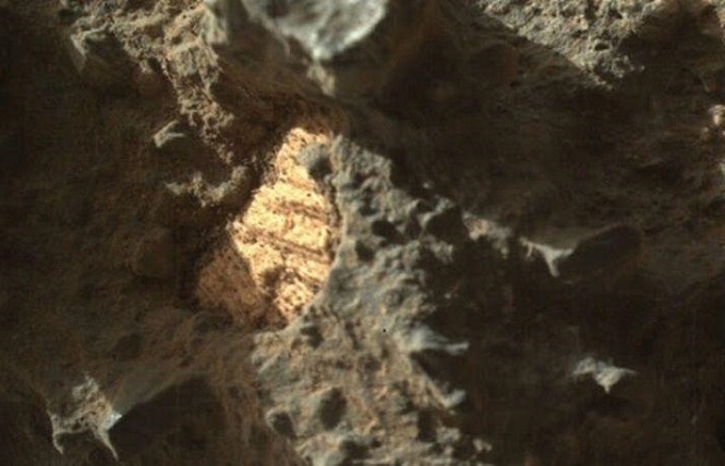 Старинная ракушка найдена учеными на Марсе