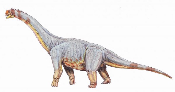 В Египте отыскали очередной вид старинных титанозавров