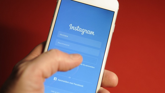 Социальная сеть Instagram снял блокировку с «Аптекарского огорода»