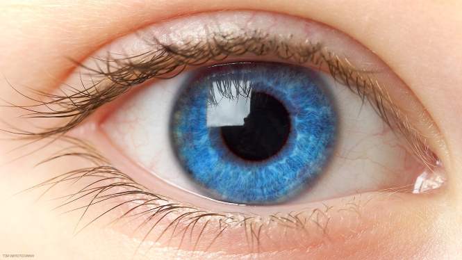 Метод предскажет риск развития сердечно-сосудистых заболеваний по глазам