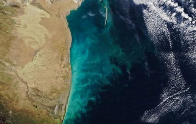 Размещены кадры NASA «молочных вихрей» в Каспийском море
