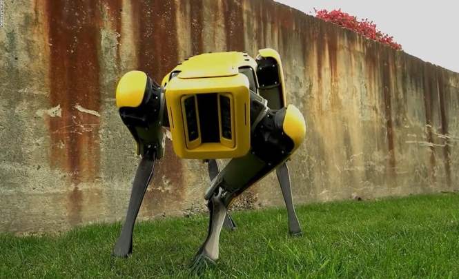 Что будет с Землей после восстания роботов — не самое жизнерадостное видео
