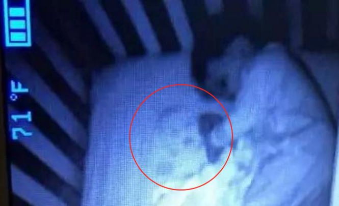 Мать увидела привидение в кроватке ребёнка